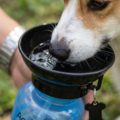 Aquadog Drinkfles 2-in-1 Waterbak voor Alle Hondenrassen | 533ml