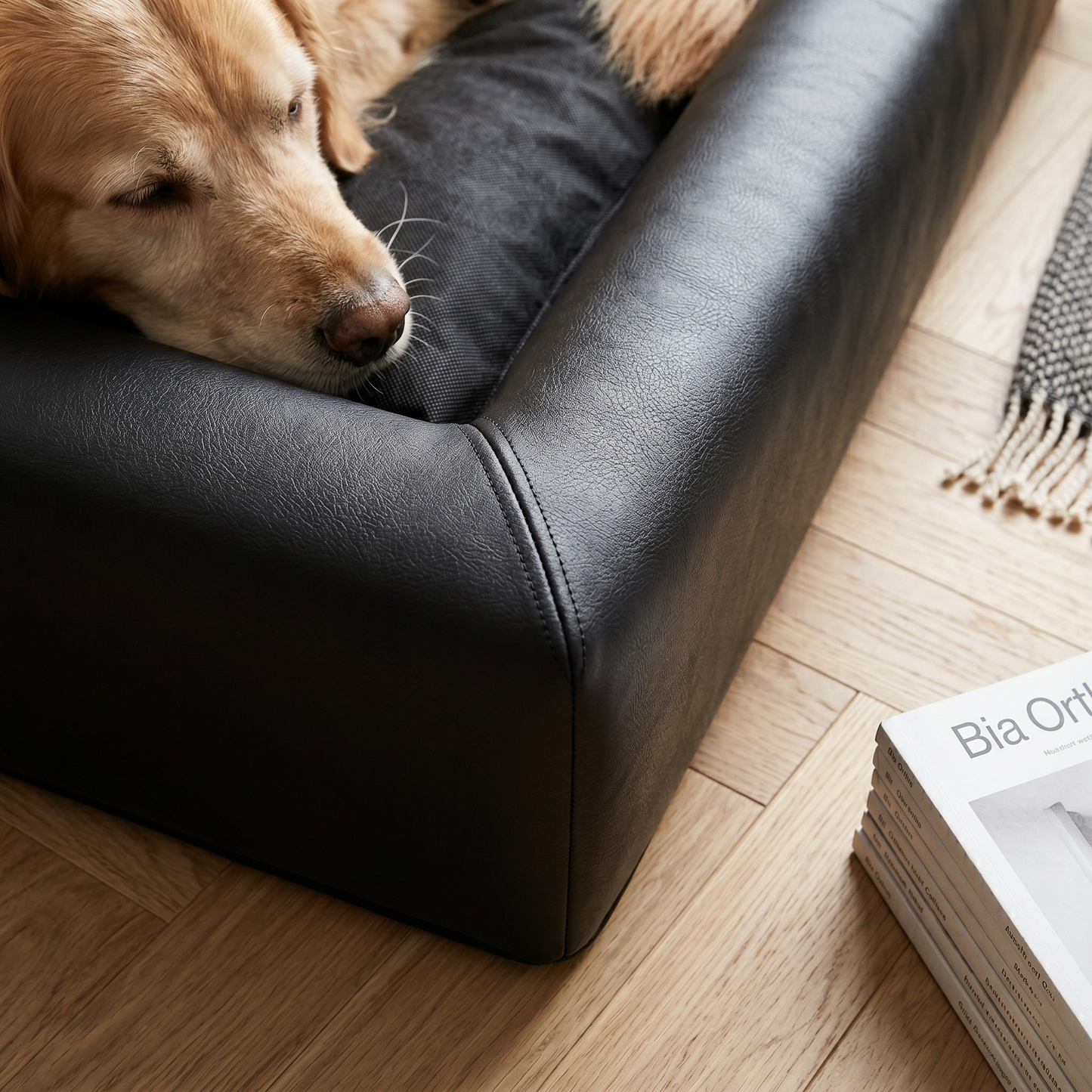 Bia Bed Hondenmand Orthopedisch Drukverlagend voor Gewrichten | Zwart 60x50x12,5cm