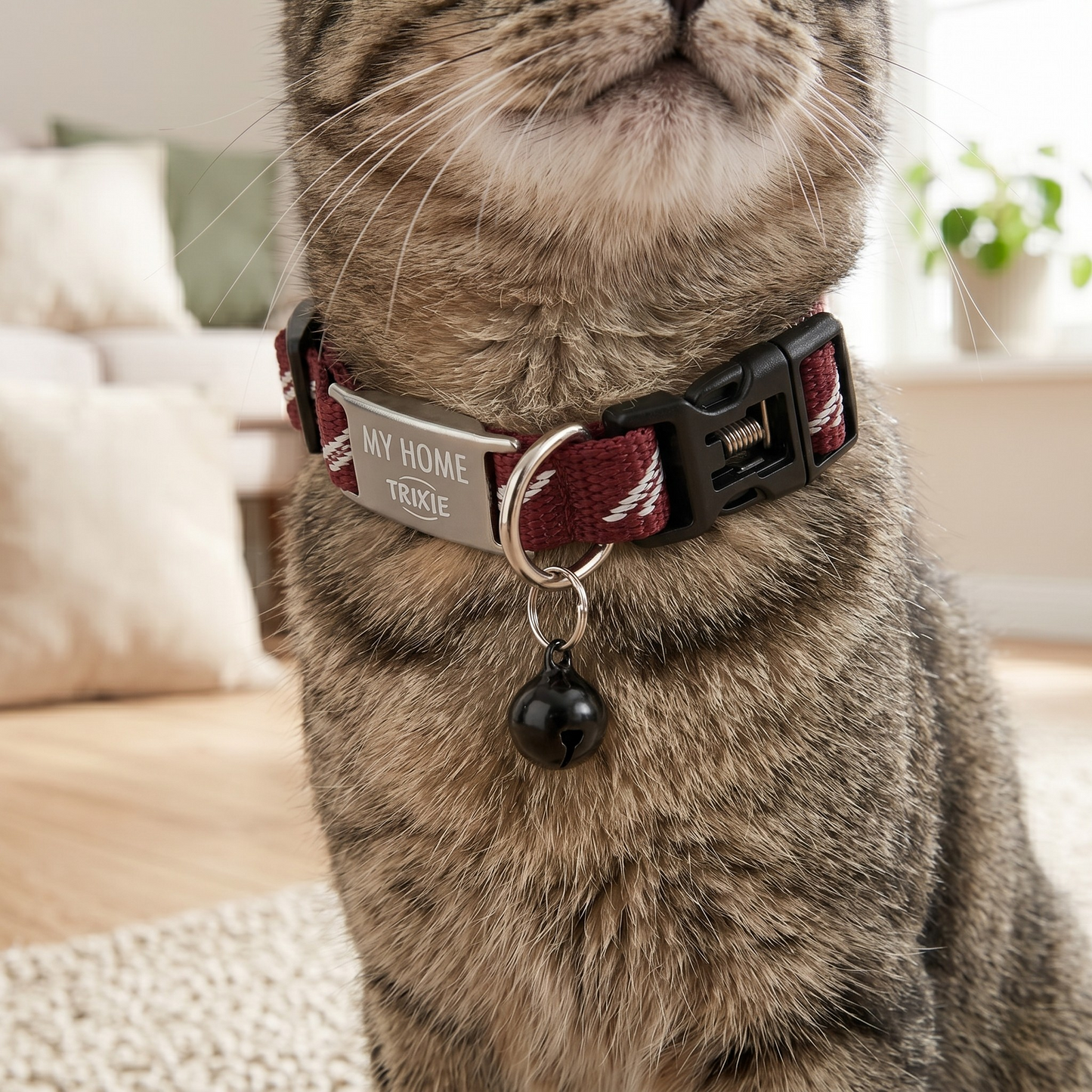 Trixie My Home Kattenhalsband met Adresflap Belletje & Clicksluiting | Assorti