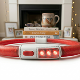 Trixie Flash Lichtgevende Halsband USB Oplaadbaar Reflecterend Hond | Groen 65x0,7cm