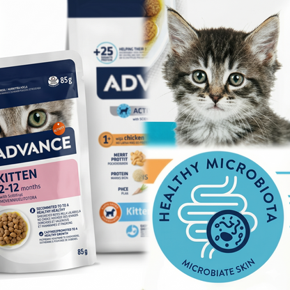 Advance Cat Kitten Chicken/Rice Starterpack met 2 Pouches Natvoeding | 1,5kg + 2x85g