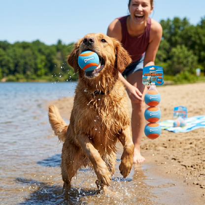 Chuckit Amphibious Speelballen Hond Drijvend & Tandvriendelijk | 6,5cm