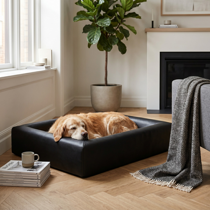 Bia Bed Hondenmand Orthopedisch Drukverlagend voor Gewrichten | Zwart 60x50x12,5cm