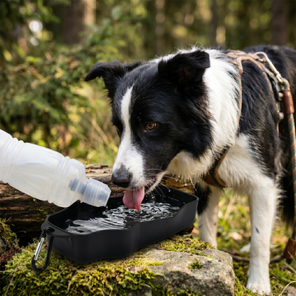 Petgear Travel Drinkfles Waterbak voor Honden Onderweg | 500ml