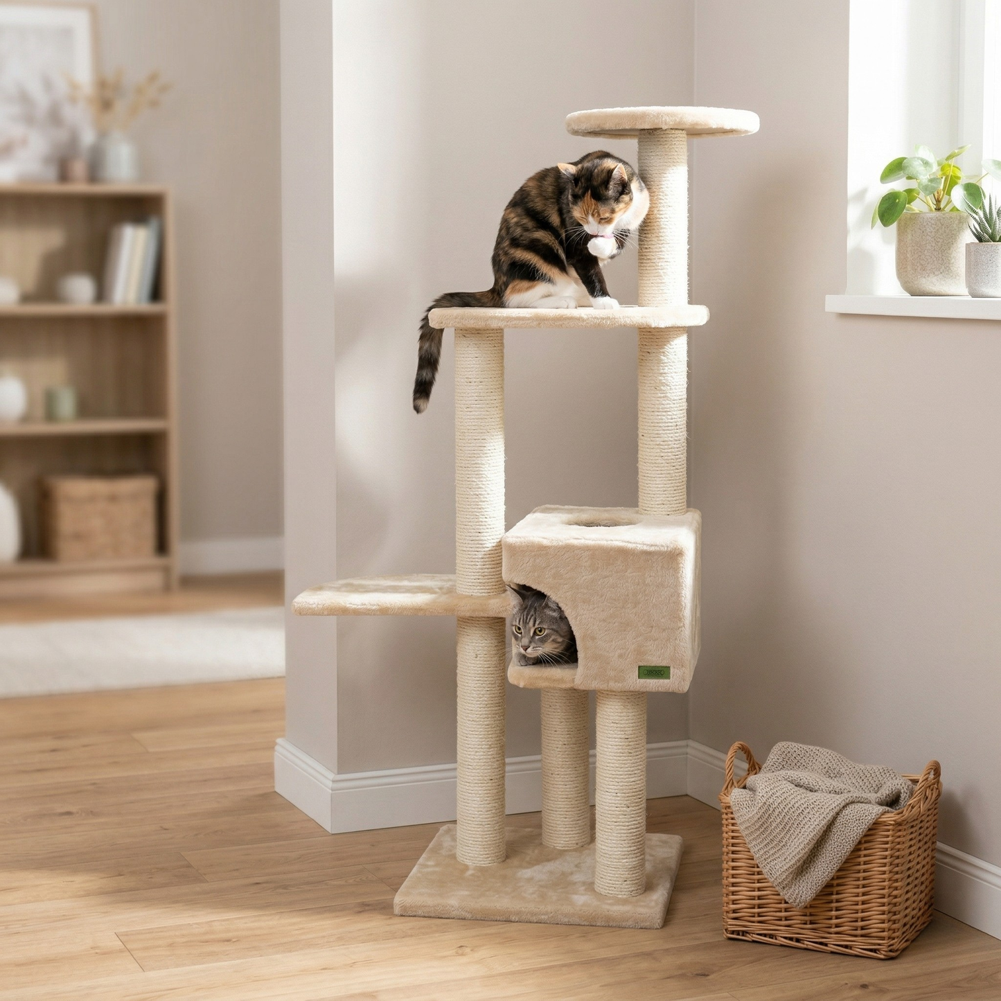 Trixie Krabpaal Alicante Compact met Schuilplaats & 4 Ligplaatsen | Beige 45x45x142cm