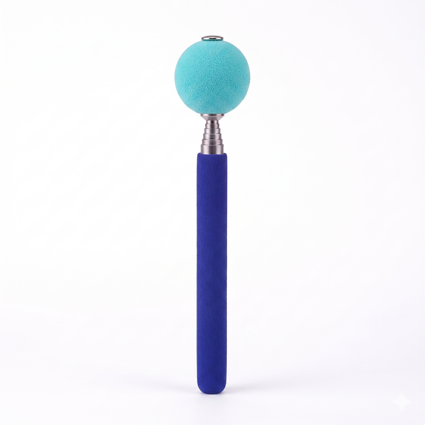 Coachi Target Stick Aanwijsstick Hondtraining | Blauw 15-70cm