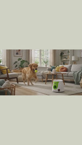 AFP Fetch-N-Treat Automatische Ballenwerper voor Honden